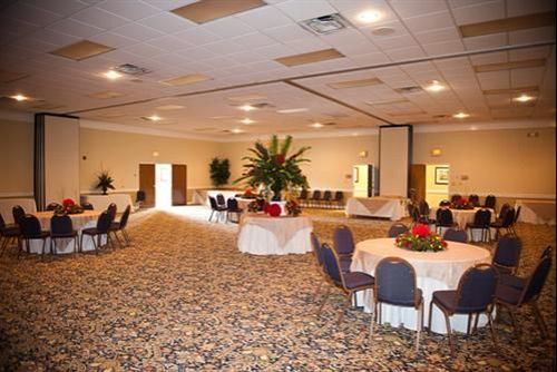 אלבני Merry Acres Inn מראה חיצוני תמונה